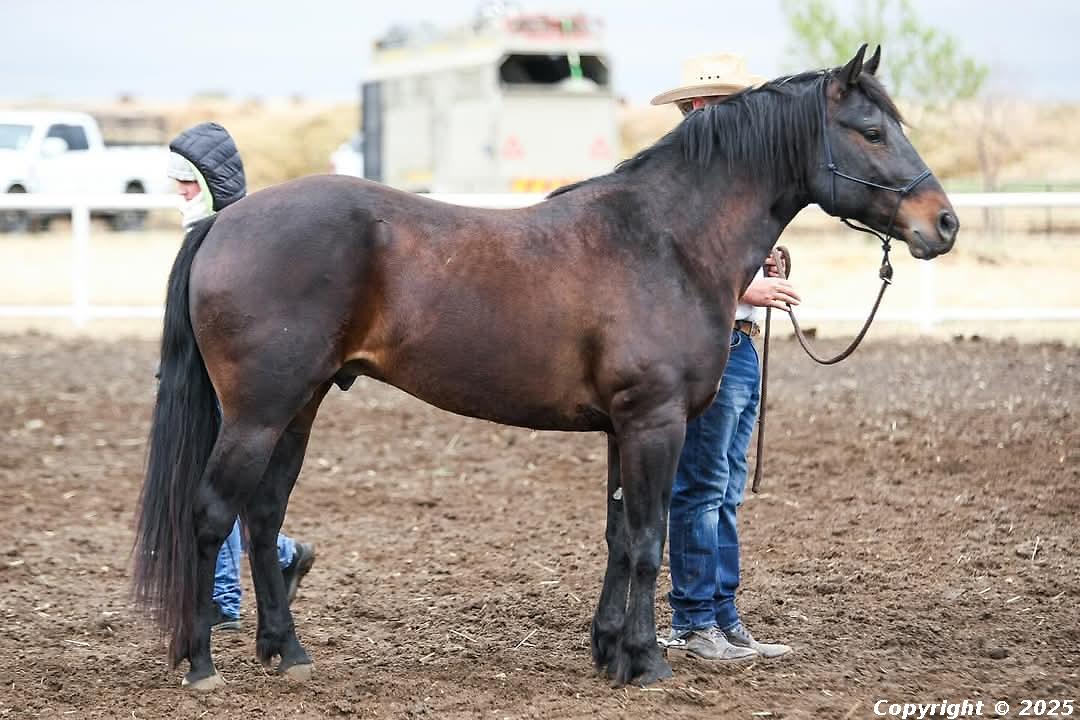 Blue Sky Dunit Lockdown